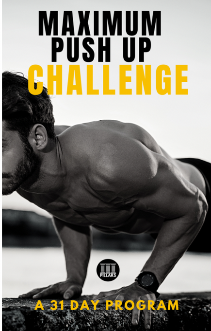 Maximum Push Up 31 Day Challenge
